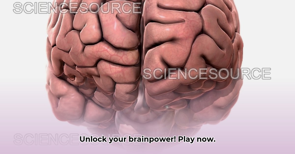 brain-teaser-games